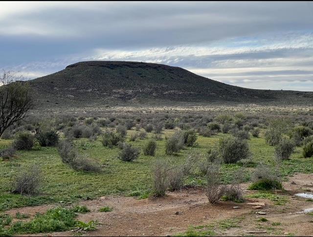 0 Bedroom Property for Sale in Williston Northern Cape